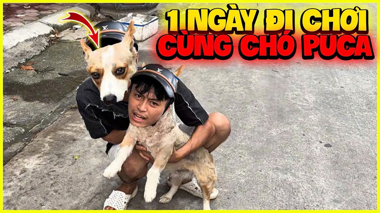 Hoàng MoBi | Một ngày đi chơi cùng PuKa sẽ như thế nào ???