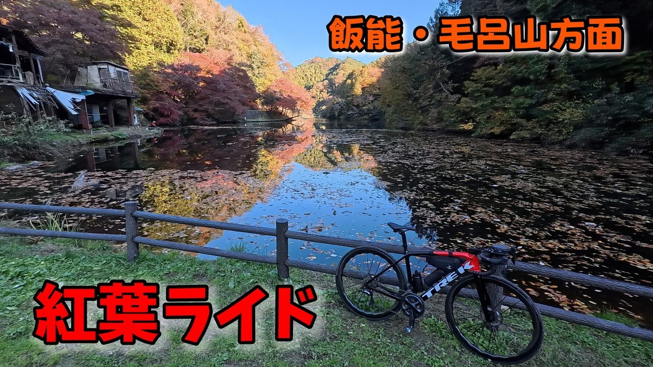 飯能と毛呂山辺りで紅葉を楽しみに行ってきました！