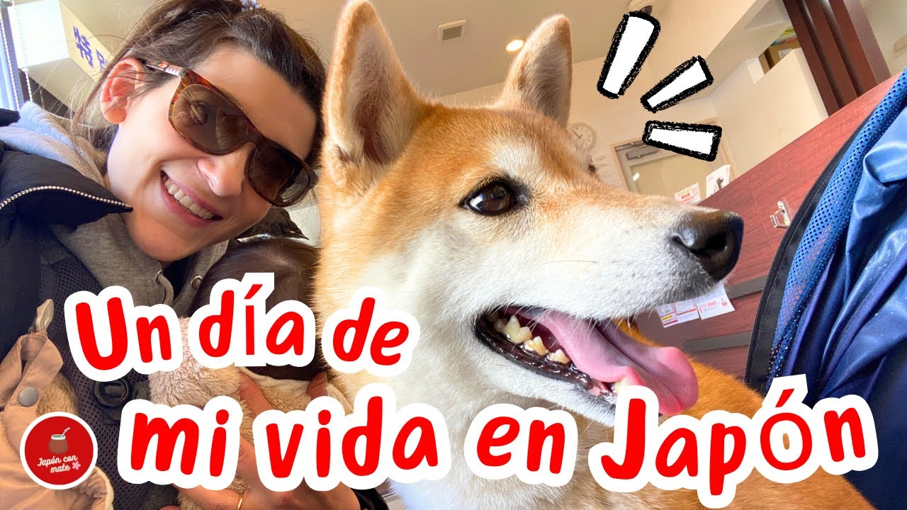 UN DIA DE MI VIDA EN JAPÓN versión MILANESAS