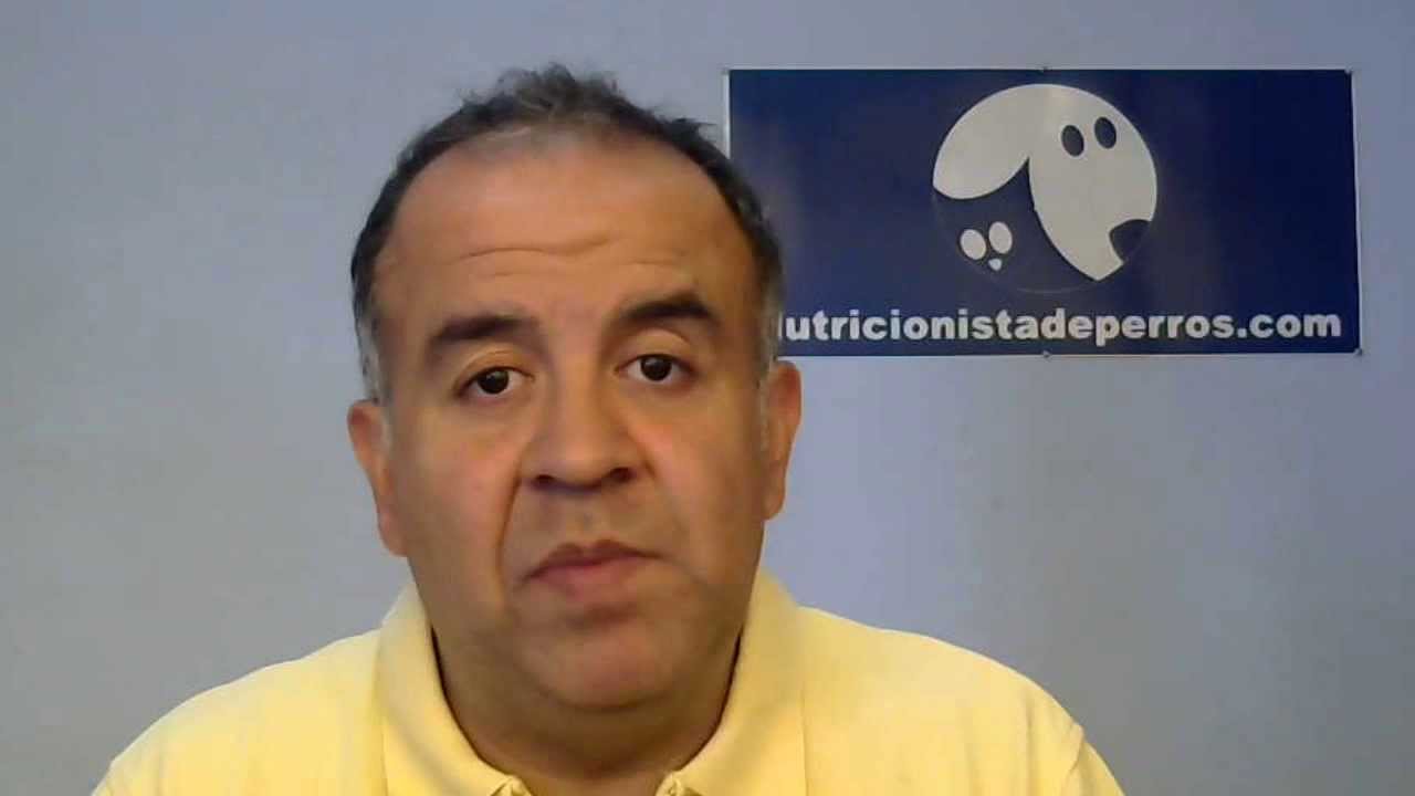 El cáncer y los vegetales en la dieta (receta) o nutrición del perro