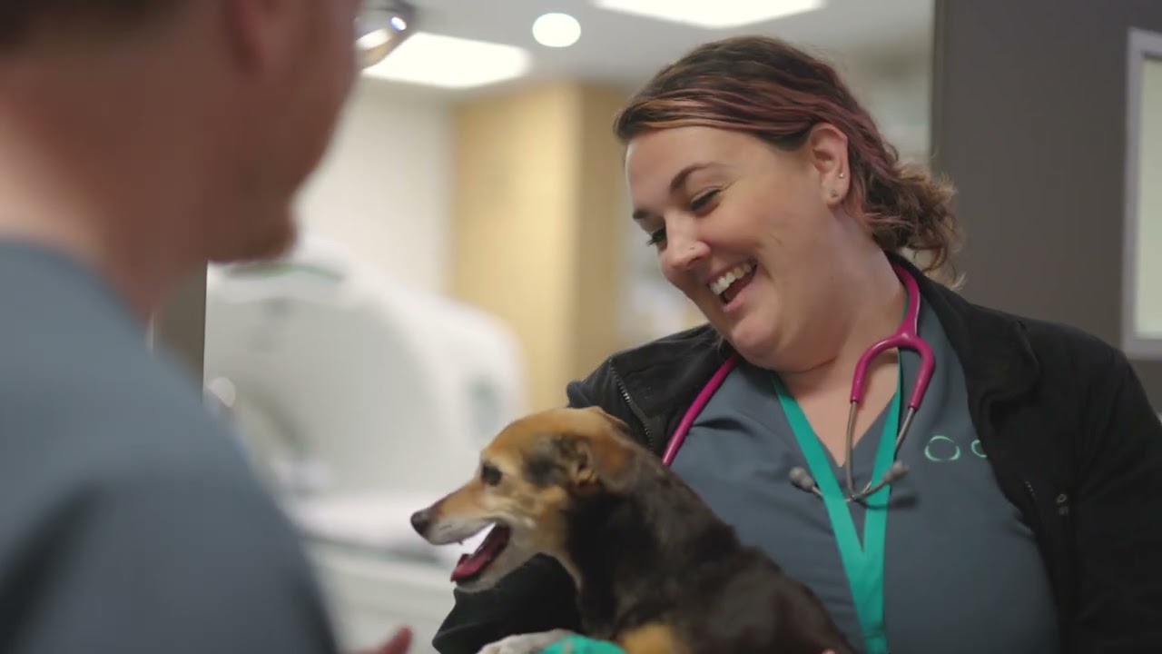 ONE Cancer Care for Pets – Our Story