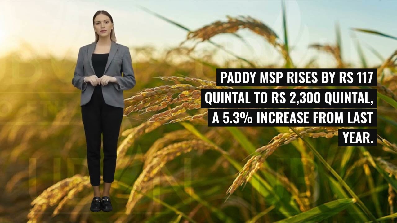 Indian Government Approves MSP Hike for Kharif Crops 2024-25