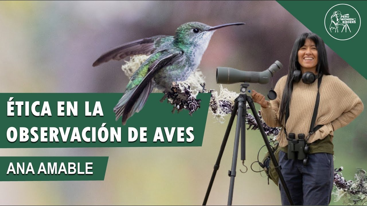 CODIGOS DE ÉTICA EN LA OBSERVACIÓN DE AVES | Ana Amable