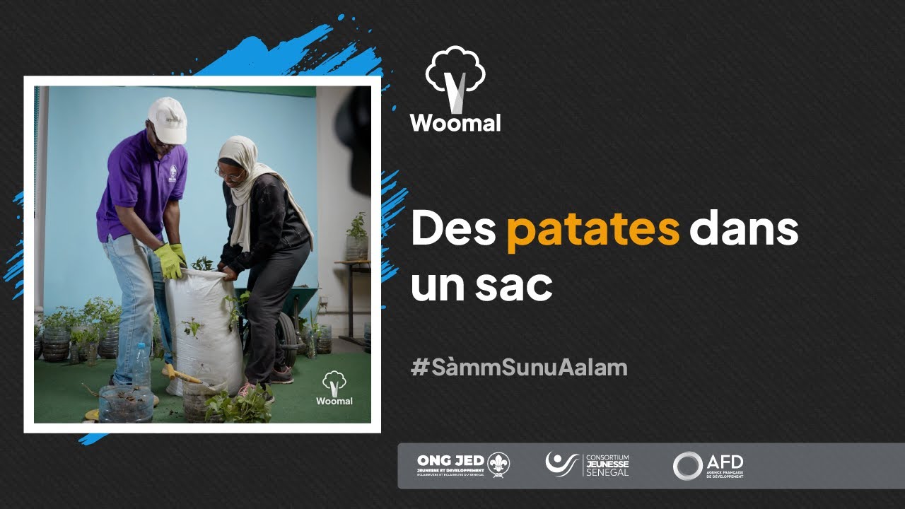 Des patates dans un sac - Woomal Sàam sunu aalam