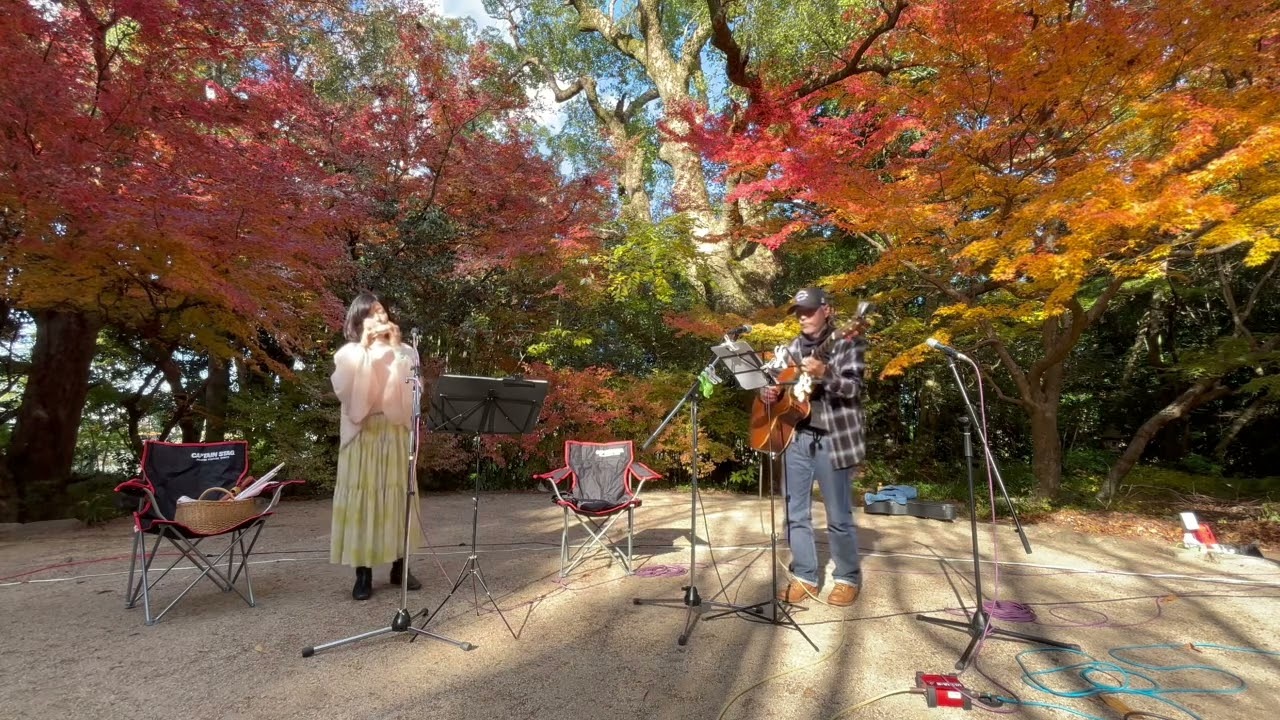 赤とんぼ　紅葉　アースホイッスル　くじらの森公園