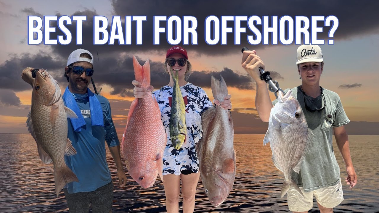 The Best Red Snapper Bait For Deep Water Fishing in The Gulf.