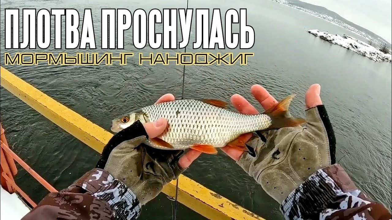 Плотва проснулась и загибает спиннинг. МОРМЫШИНГ НАНОДЖИГ