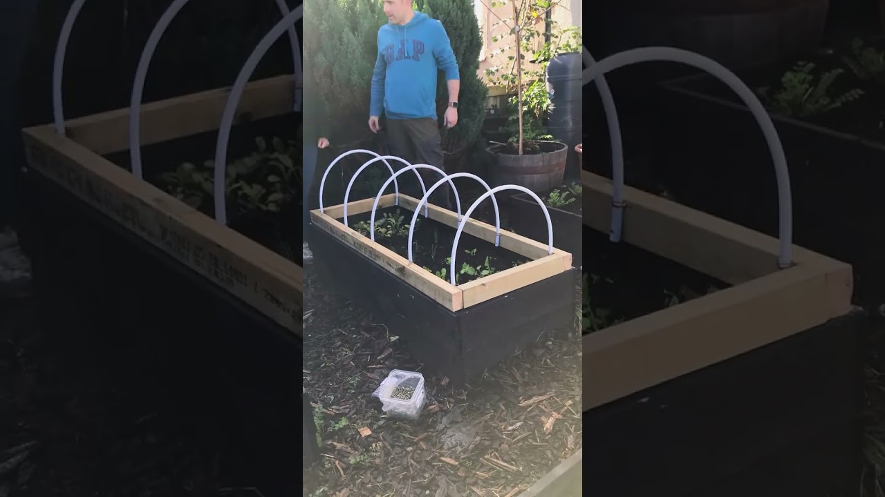 DIY Mini Green House for winter plant protection