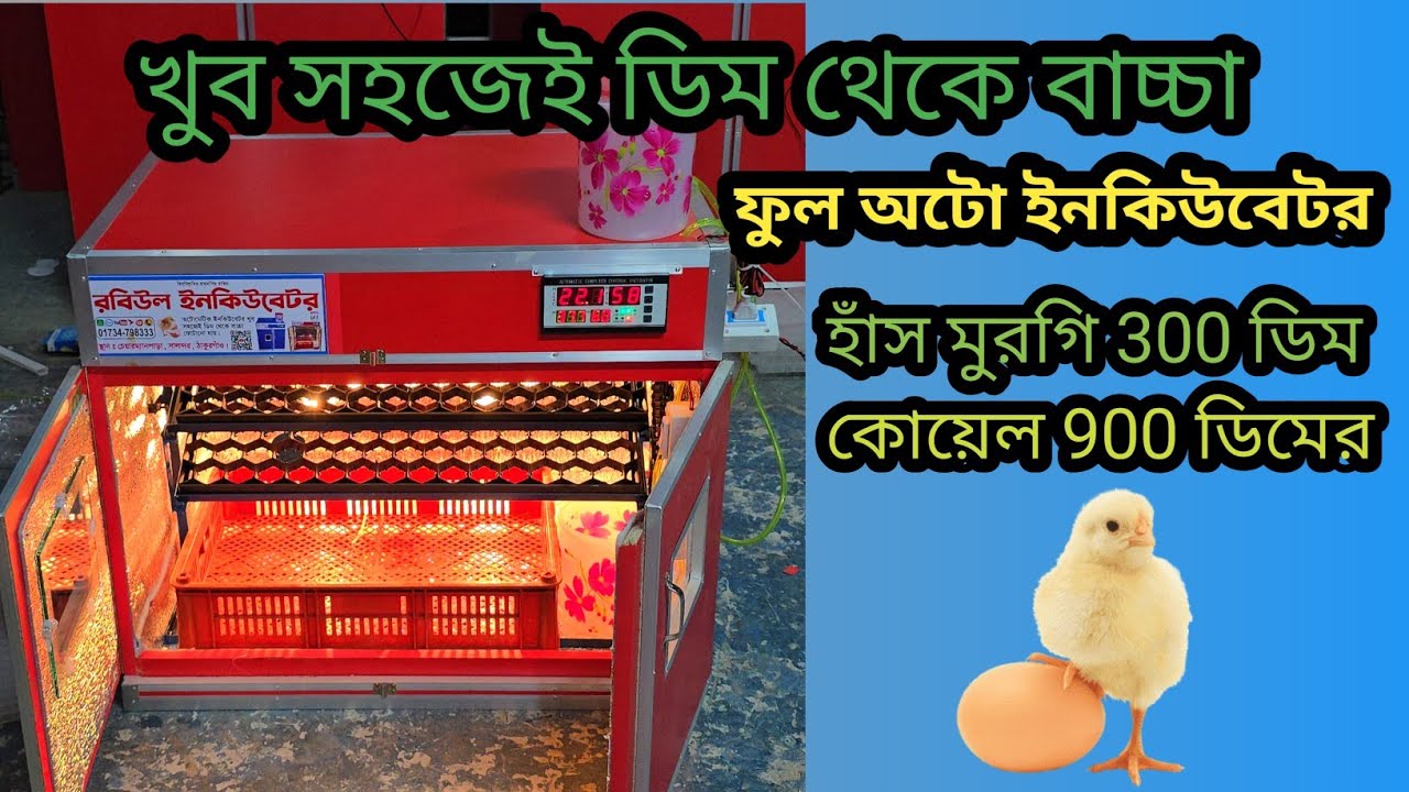 300 ডিমের ফুল অটোমেটিক ইনকিউবেটর কিনুন auto incubator for chicken eggs #incubator  #rabiulincubator 
