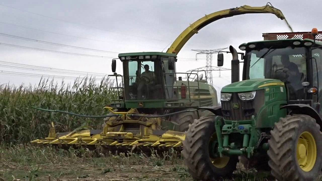 Ensilage en moselle | 57405