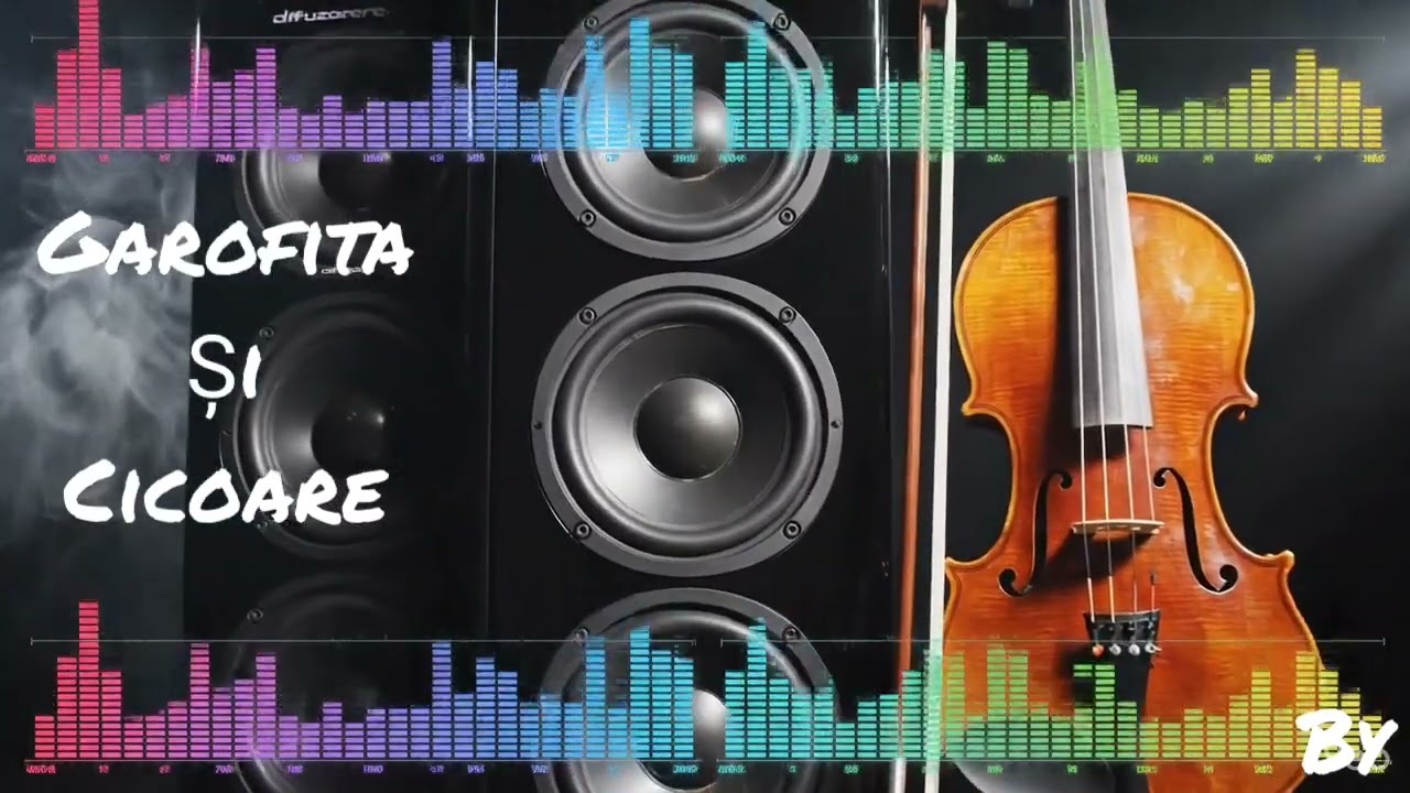 Garofita și cicoare Doua fete mama are!