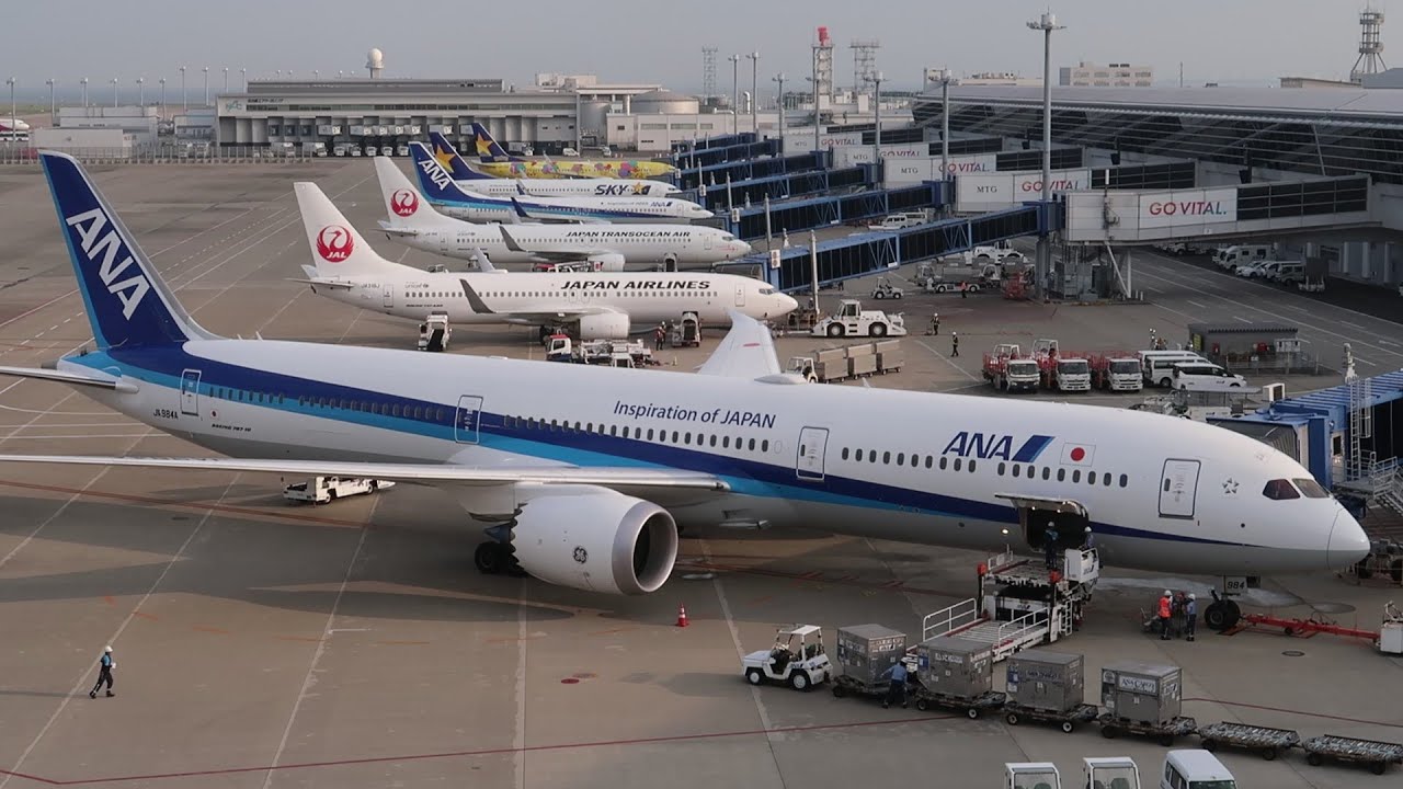 〔SEP2024〕ANA B787-10 (JA984A) 中部→新千歳 / Nagoya to Sapporo