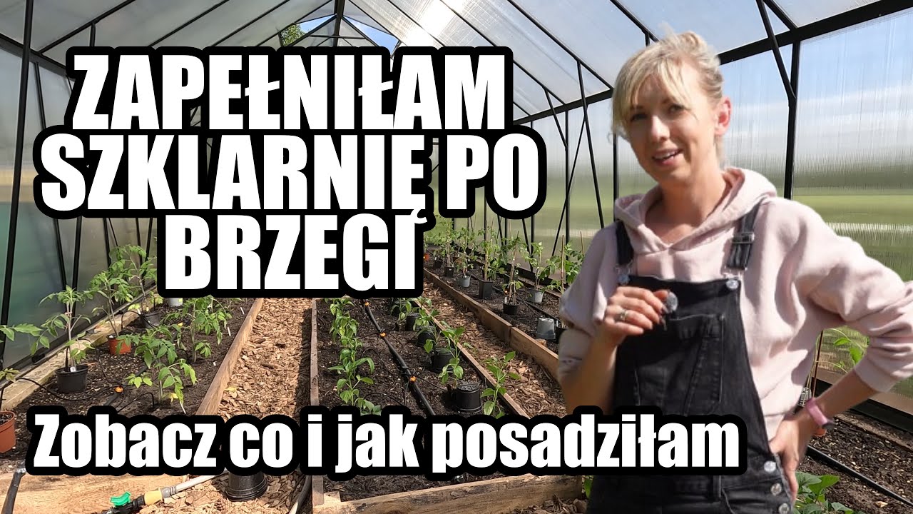 Jak sadzę warzywa w szklarni &ndash; rozstaw, sadzonki i plan uprawy