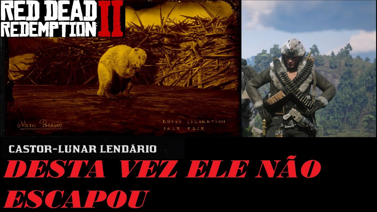 Red Dead Redemption 2 Online - Caçando o Castor Lunar Lendário