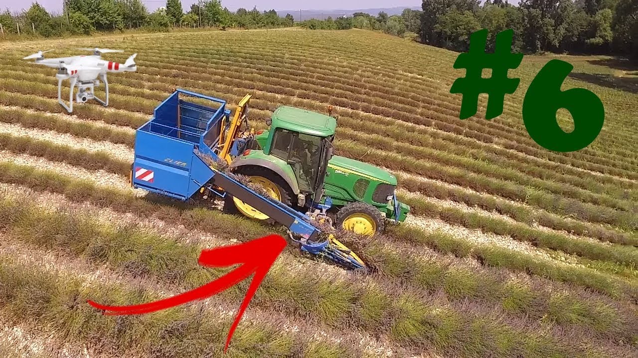 Récolte de lavande 2018 [Drone] France