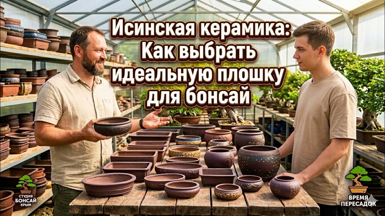 Исинская керамика: Как выбрать идеальную плошку для бонсай #керамика #бонсай 
