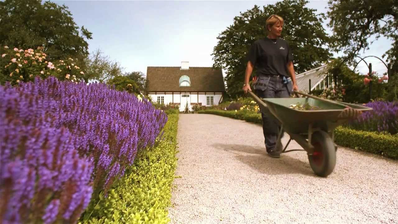 Travel Guide Sk&aring;ne, Sweden - Sk&aring;ne