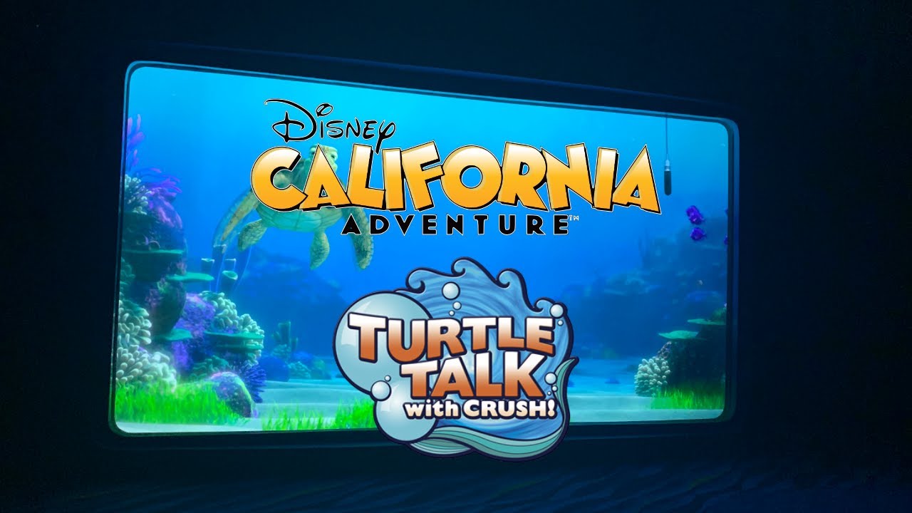 Turtle Talk with Crush [Disney California Adventure]