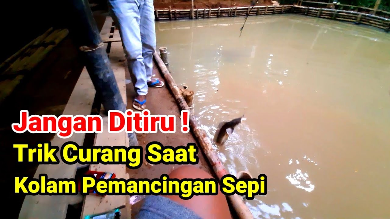 Mancing Lele Agar Dapat Banyak Caranya Gini