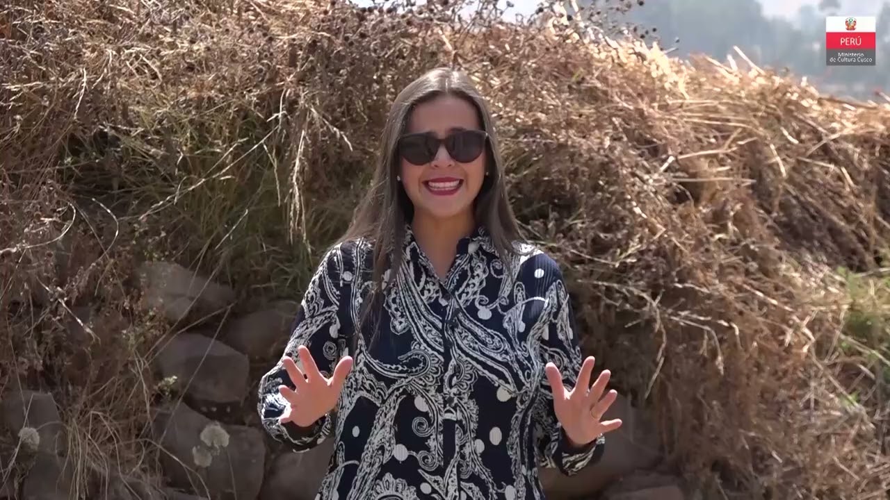 PROGRAMA PATRIMONIO