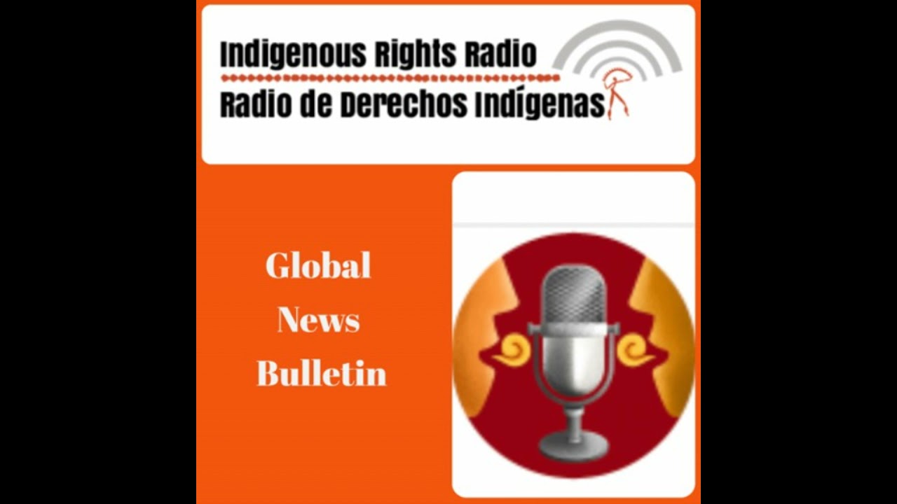 Cultural Survival Global News Bulletin February 2026