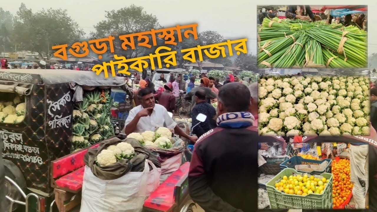 বগুড়া মহাস্থানগড় বড় পাইকারি বাজার। 