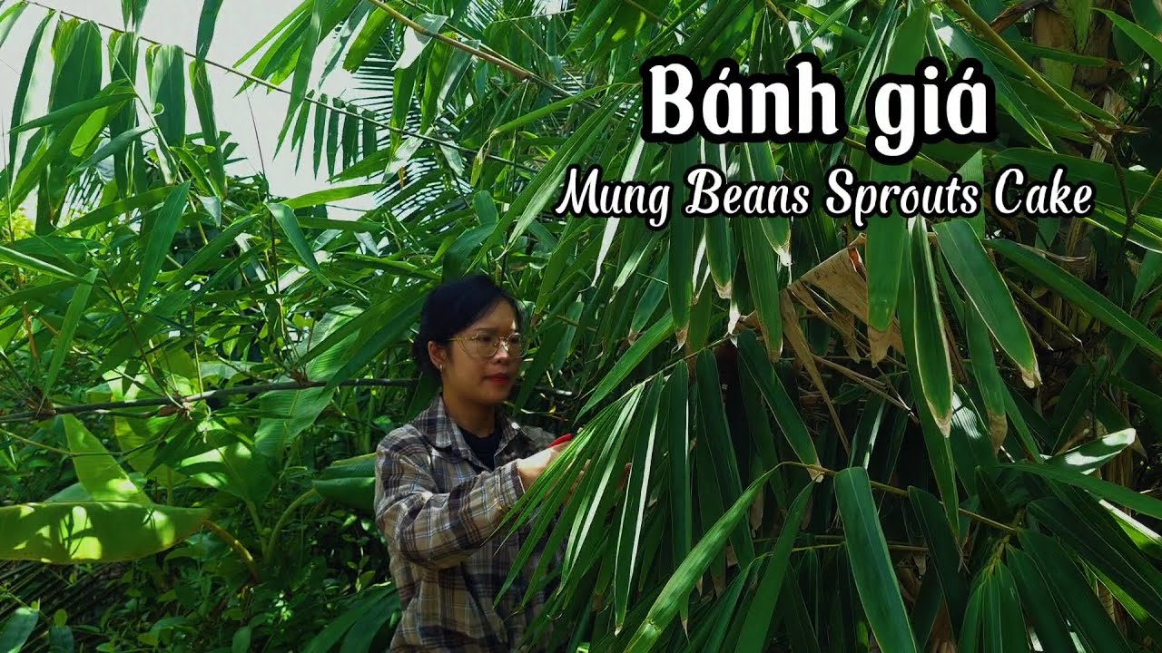 B&aacute;nh Gi&aacute; (b&aacute;nh v&aacute;) gi&ograve;n thơm,L&agrave;m gi&aacute; truyền thống từ l&aacute; tre, gi&aacute; to v&agrave; trắng ngon tuyệt,Gian nh&agrave; nhỏ