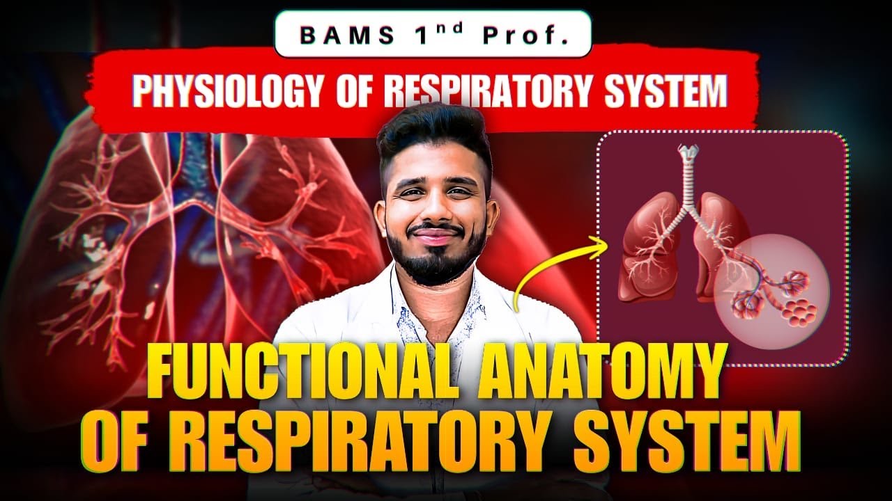 Physiology of respiratory system :- Functional anatomy of respiratory system || BAMS 1st Prof 