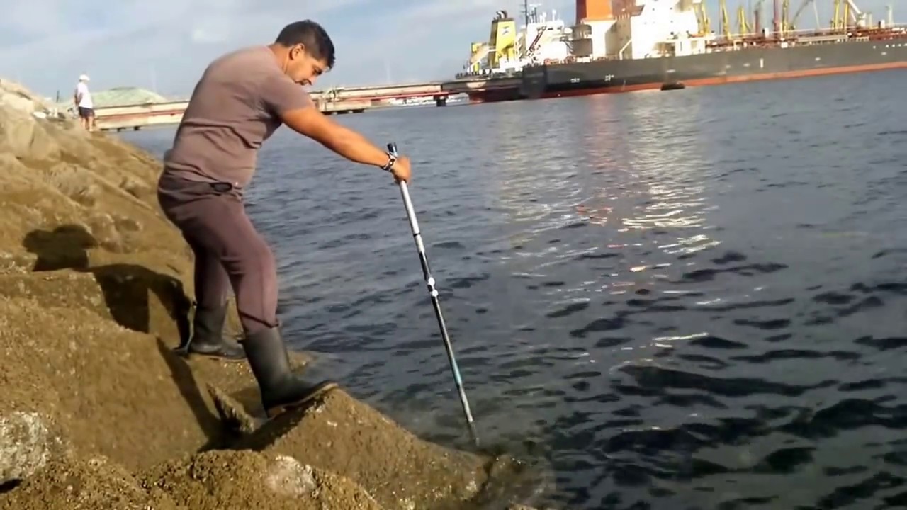 PESCA DE PULPO A VARA EN LA ESCOLLERA DE OZA  LA CORUÑA