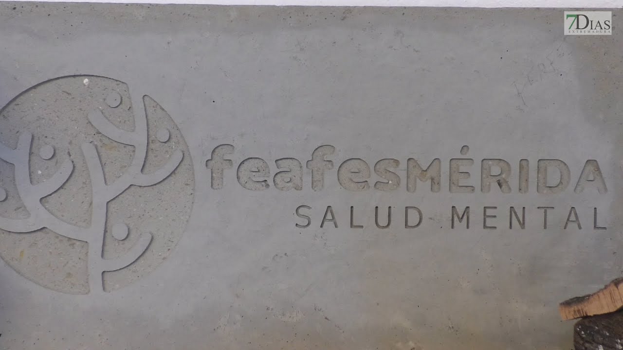 FEAFES M&Eacute;RIDA PRESENTA EL PROYECTO ECOINNOVA SOCIAL