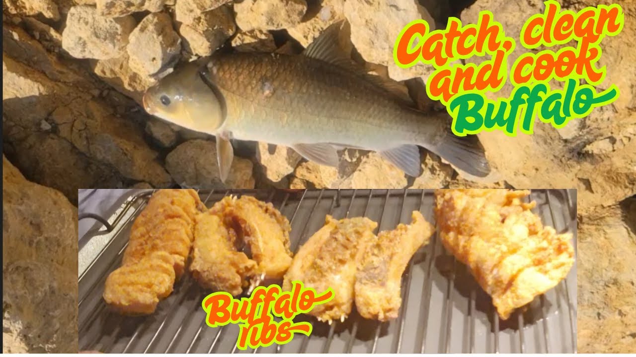 Catch clean and cook Buffalo.