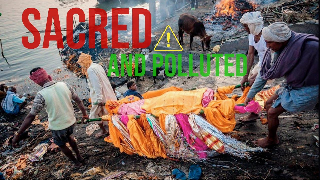 Sacred and Polluted: The Strange Tales of the Ganges River