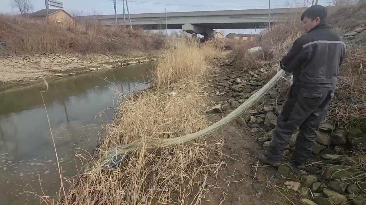 Огромные сазаны и караси в микро речке. Рыбалка на кастинговую сеть.