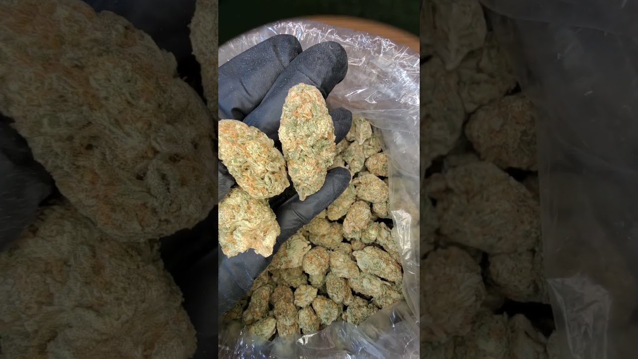 Papaya Punch