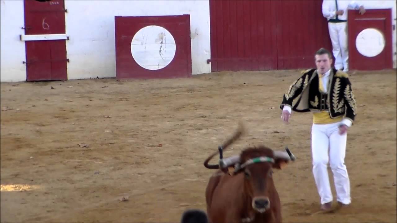 Geaune 26/10/14 Présentation Deyris 2015 (2° partie)