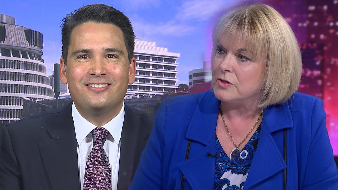 Simon Bridges describes Judith Collins analysis of his leadership as ‘right and fine’