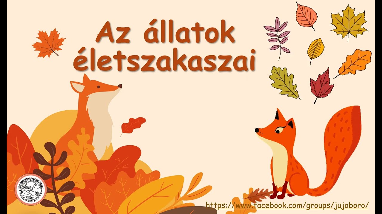 Az állatok életszakaszai