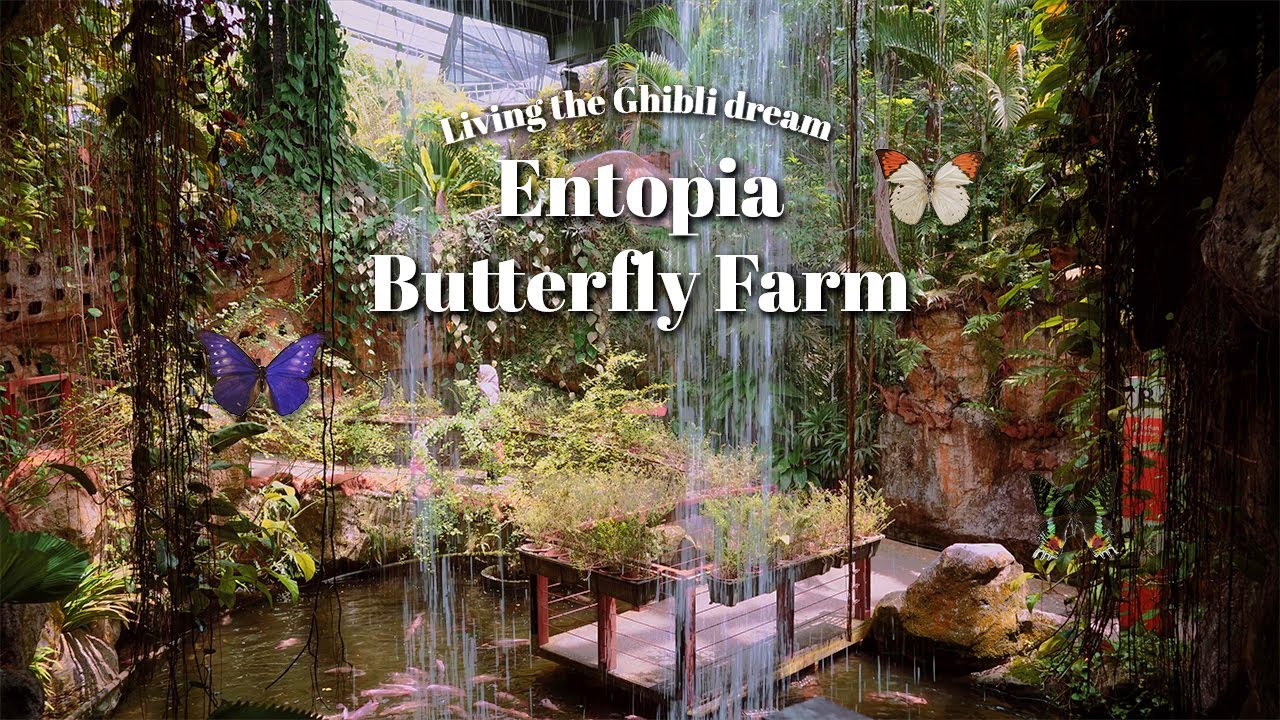 Living the Ghibli dream: Trip to Entopia Butterfly Farm 🦋 | Penang Malaysia Travel Vlog 🇲🇾