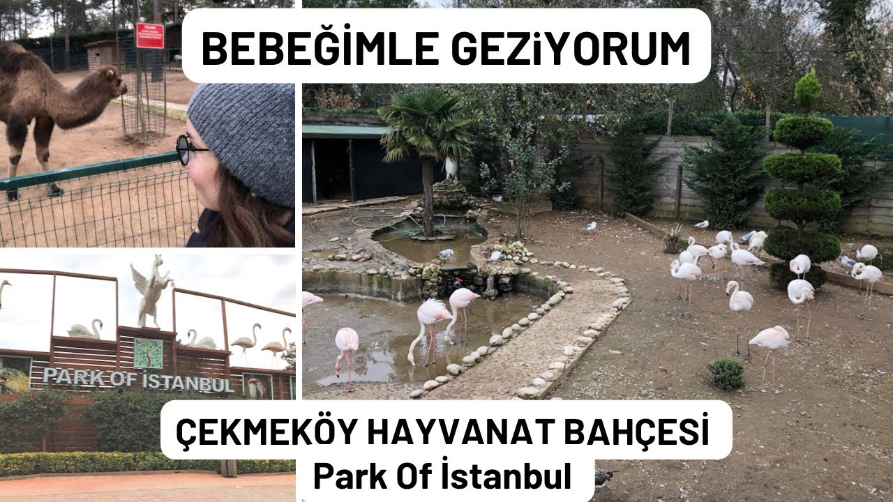 Bebeğimle Geziyorum:Çekmeköy Hayvanat Bahçesi, Park Of İstanbul