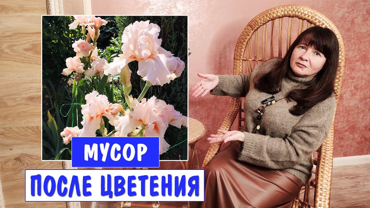 ВРЕМЕННО КРАСИВЫ. А потом лишь ПОРТЯТ САД. Не сажайте много этих растений!