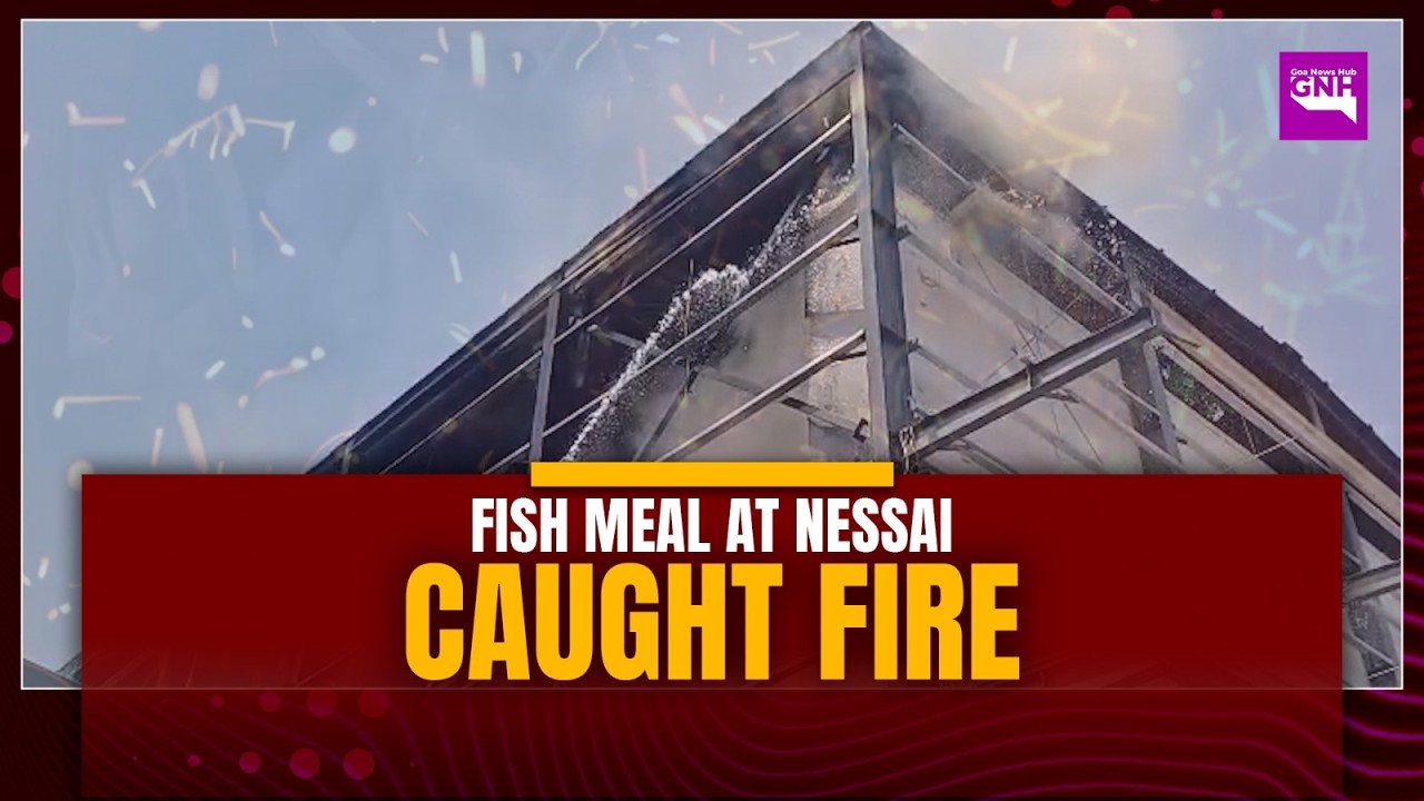 FISH MEAL AT NESSAI CAUGHT FIRE