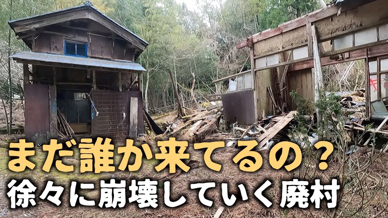 【廃村】【廃墟】次々と廃墟が崩壊していく中で、今もお花を生けに来る人がいる廃村。福井県南越前町 菅谷集落。