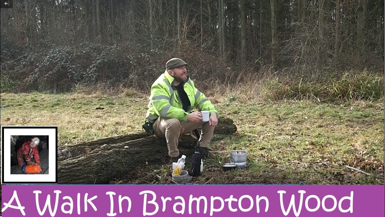 A Walk in Brampton Wood