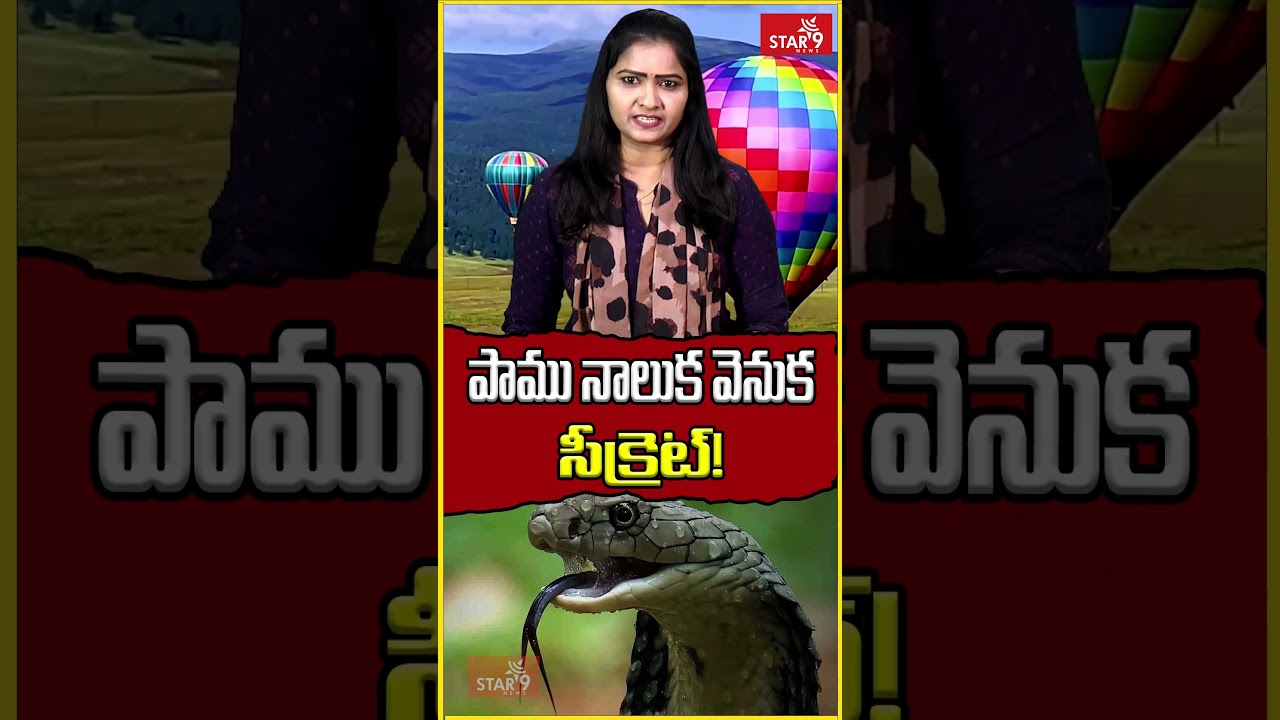 పాము నాలుక వెనుక సీక్రెట్! || Star9 News || Voice Of Truth || @Star9Telugu