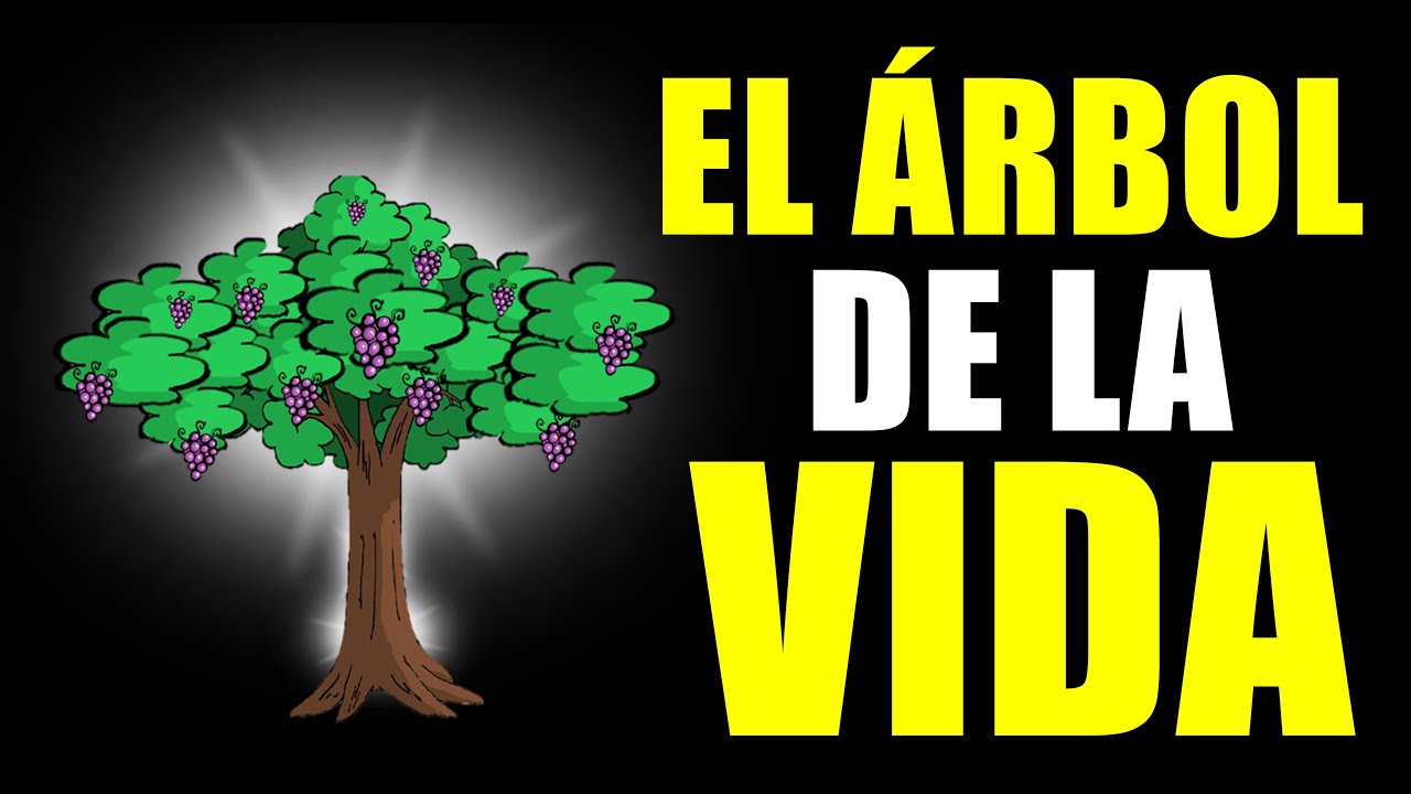 #19 EL ÁRBOL DE LA VIDA (APOCALIPSIS 2: 7c)