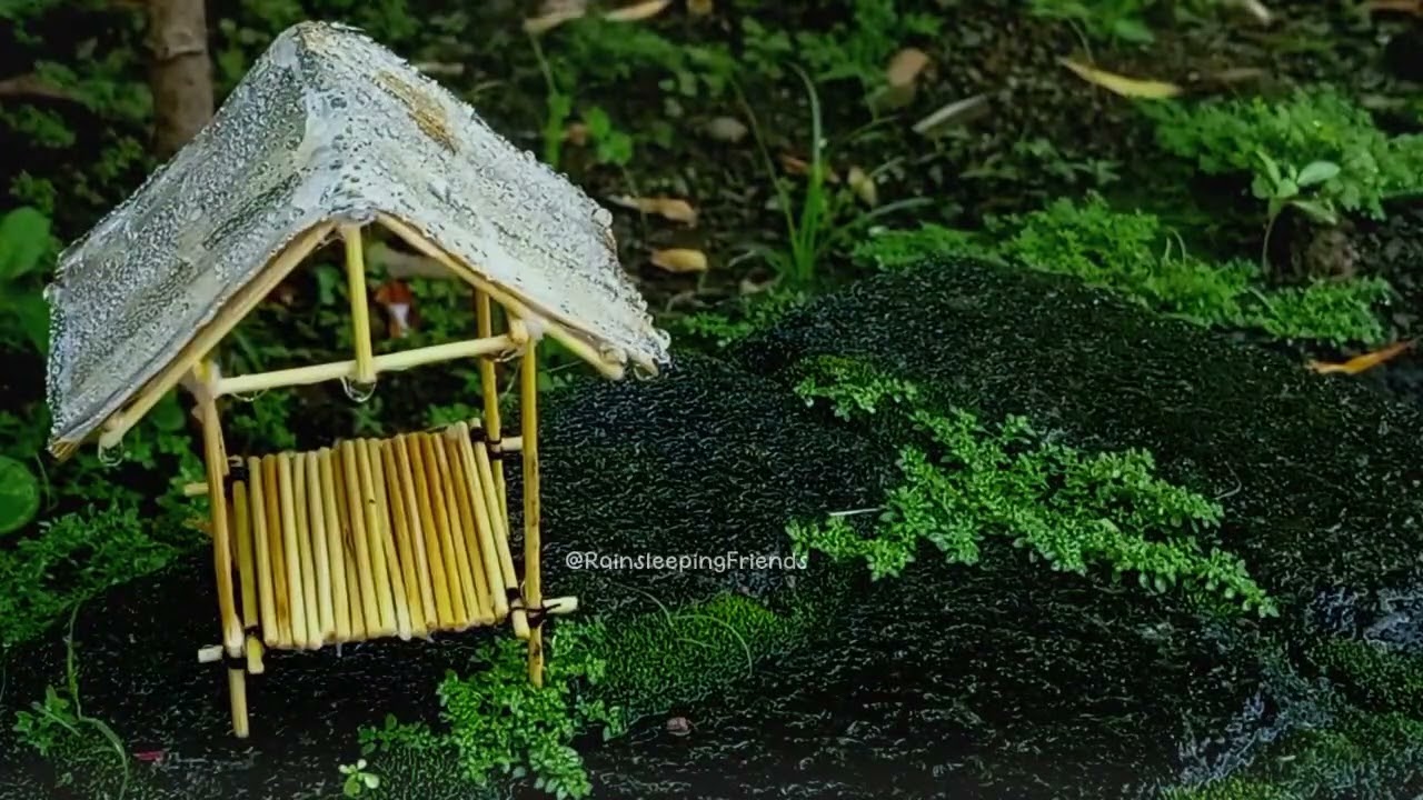 Relaxing Rain Ambience in Nature | ASMR Rain Sounds for Sleeping Fast