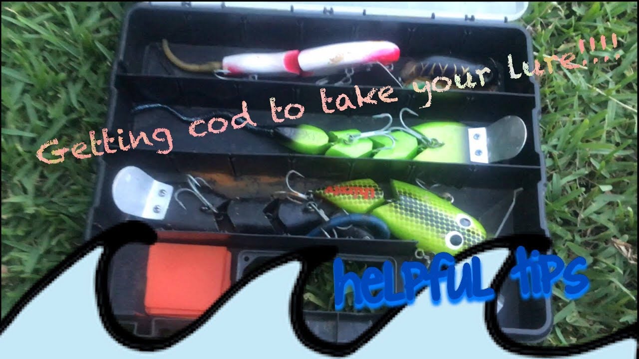 techniques for getting the iconic Murray Cod to take your lures