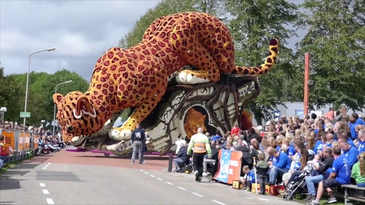 StarkWark - Alert - Corso 2018 Vollenhove