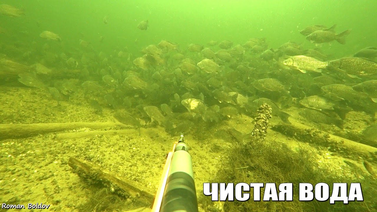 Подводная Охота в Волгограде 