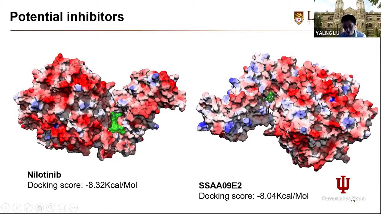 WG Seminars: Li, Molecular Dynamics Simulations of SARS-CoV-2, November 5, 2020